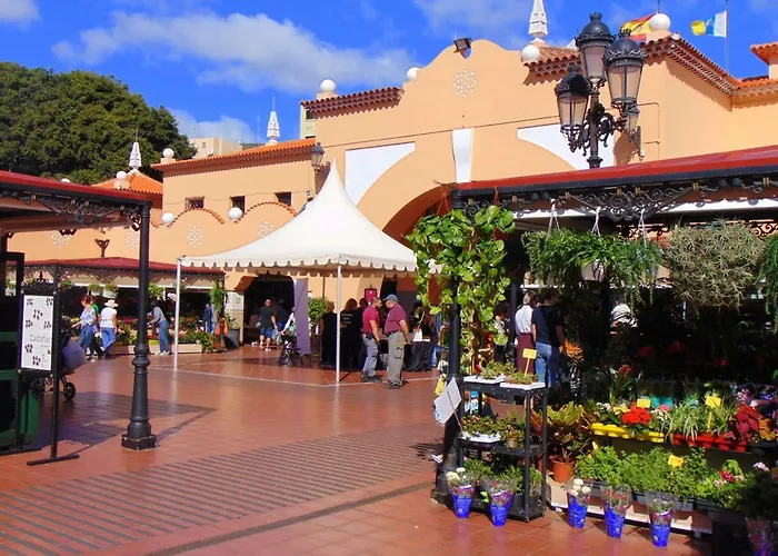 Casa Papagayo