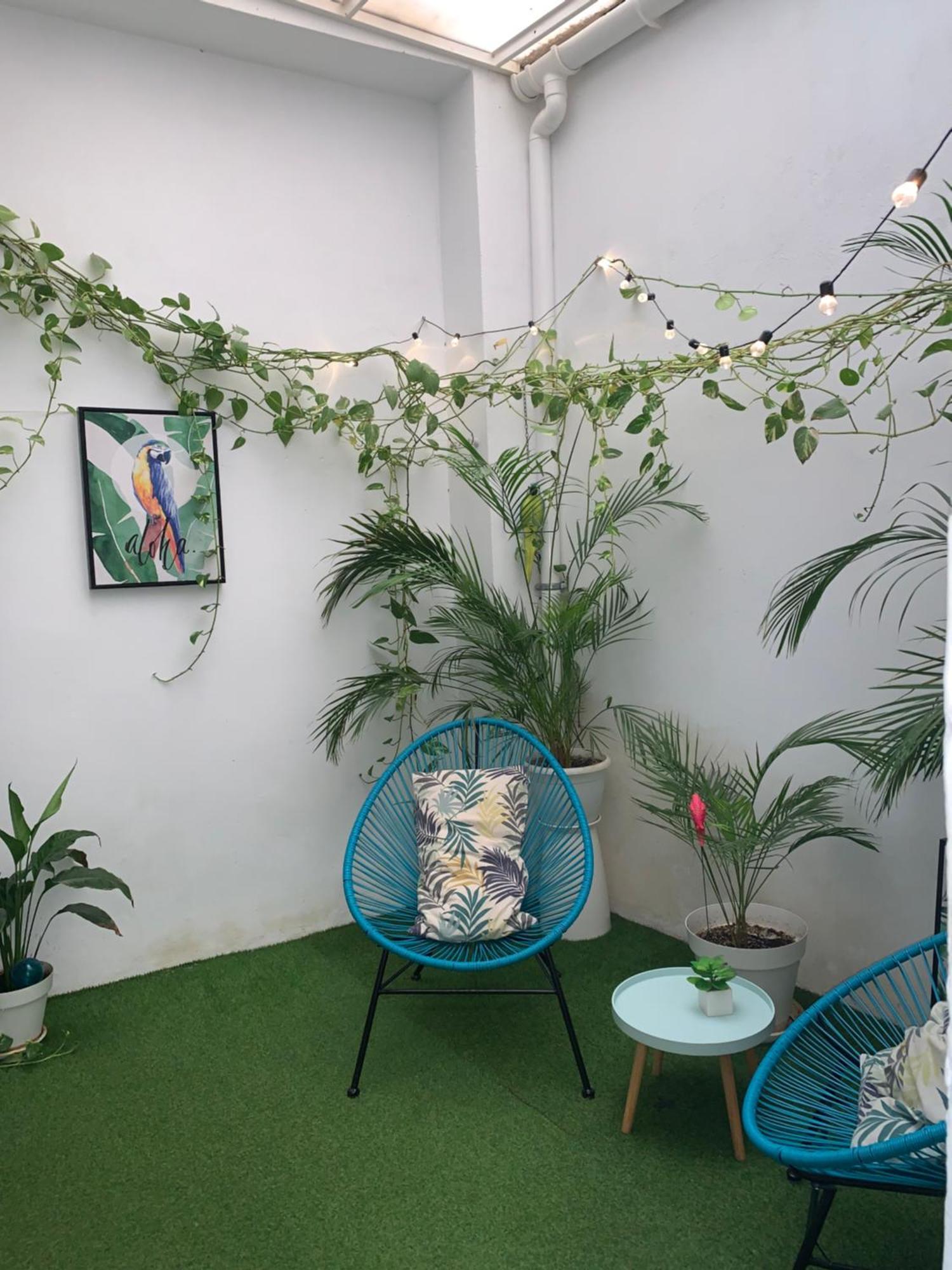 Casa Papagayo Appartement