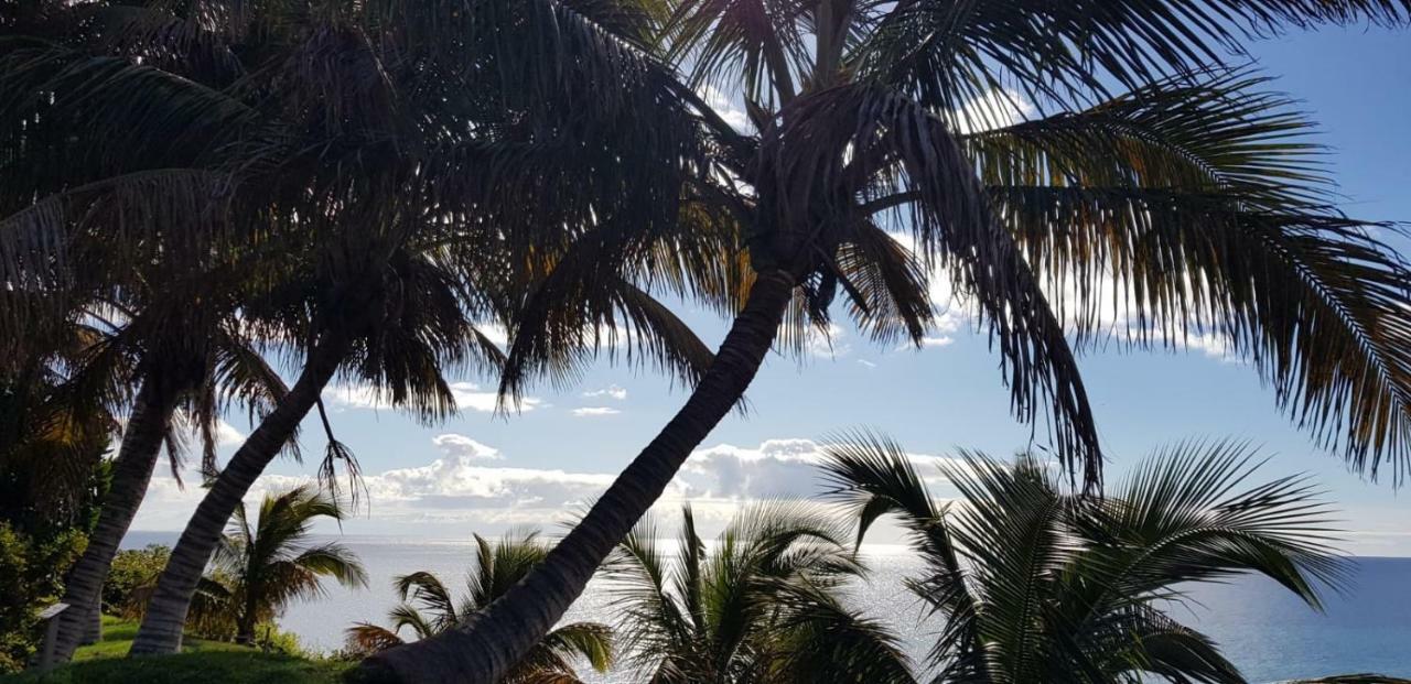 Apartament Casa Papagayo Santa Cruz de Tenerife